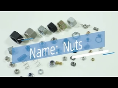 Countersunk Head Zinc Alloy Furniture Nut China Nuts